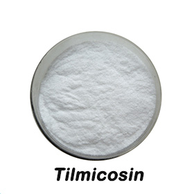 Veterinary Medicine Antibiotic CAS137330-13-3 Tilmicosin Phosphate powder
