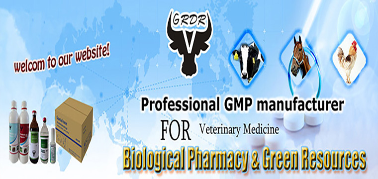 Usage and dosage of commonly used veterinary drugs