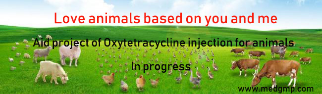 Love animals based on you and me Aid project of Oxytetracycline injection for animals