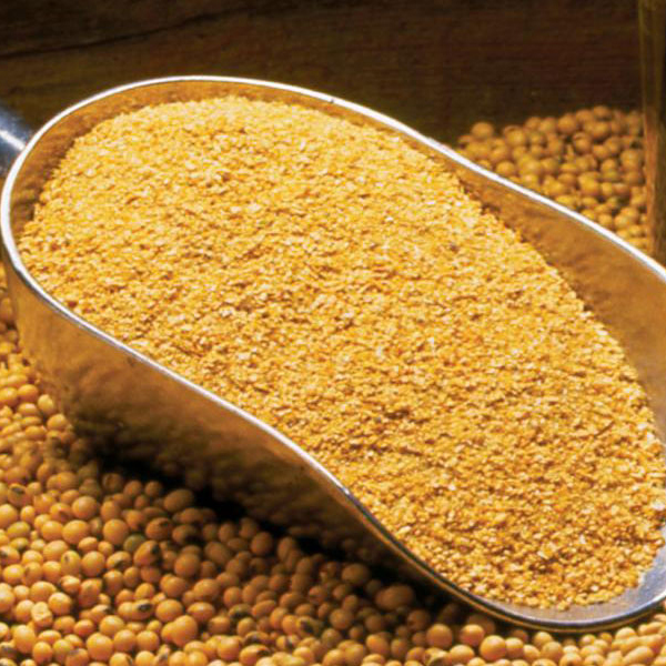 EXPRESS® SOYBEAN MEAL 