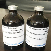 Enrofloxacin 100 mg