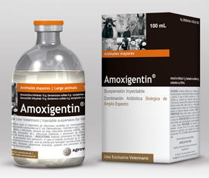 AMOXIGENTIN®