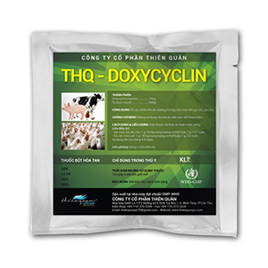 GMP-THQ- TETRA COLIVET-antibiotic- veterinary medicine for poultry - livestock