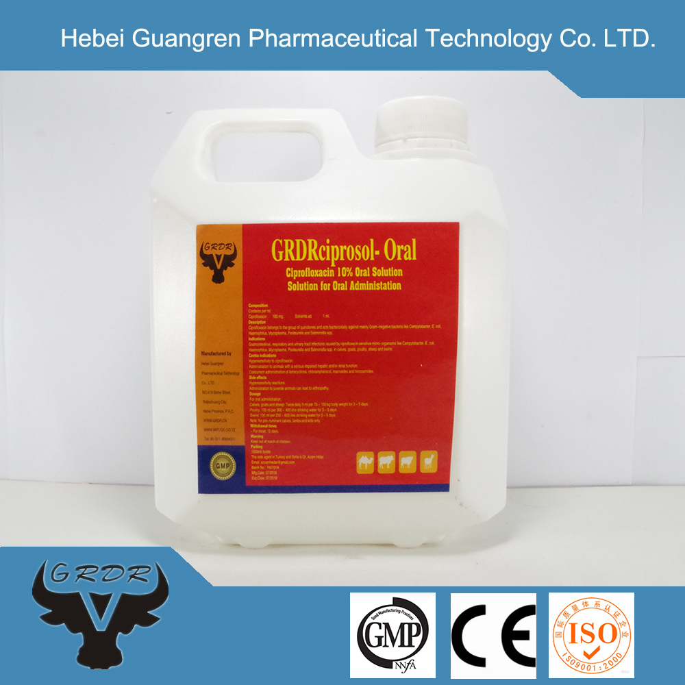 antibiotic drugs Ciprofloxacin 10% oral solution for poultry use 