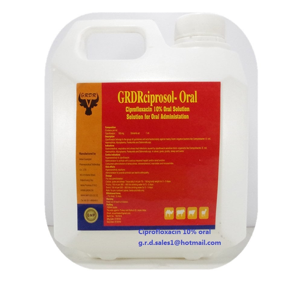 Ciprofloxacin 20% oral solution