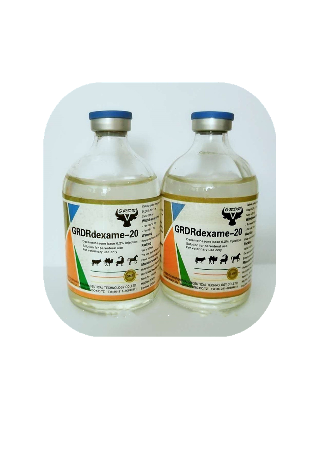 Dexamethasone Injection high quality veterinary medicine