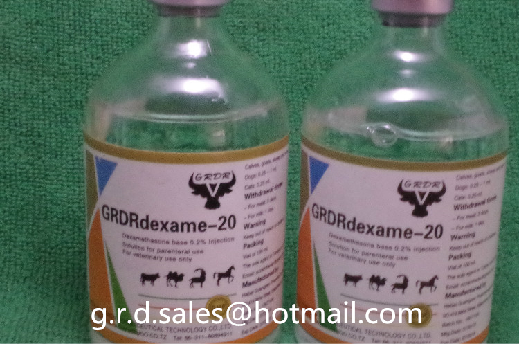 Dexamethasone Injection high quality veterinary medicine