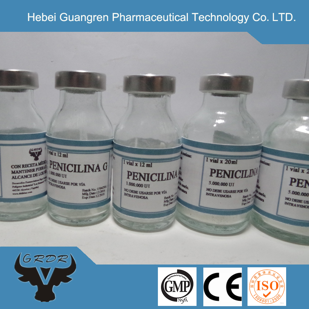 penicillin G powder for injection 