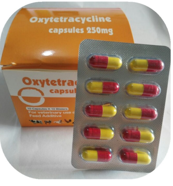 oxytetracycline capsule veterinary medicine high quality