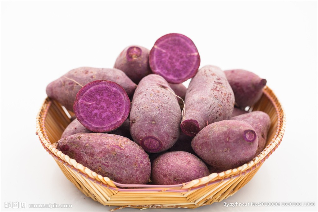 Key points for high-yield planting of purple sweet potato