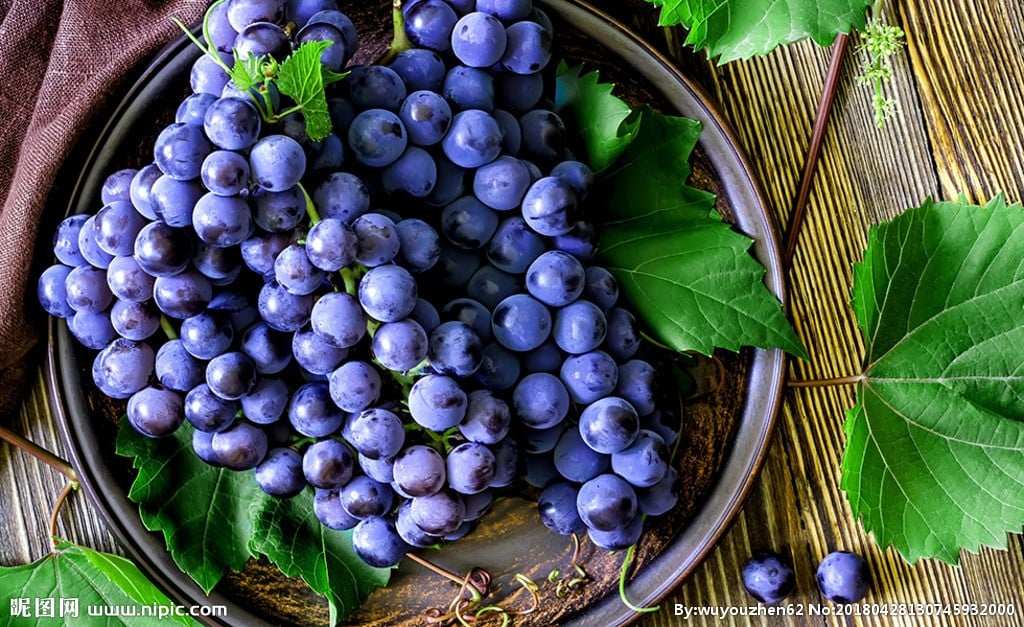 Symptoms and prevention measures of grape powdery mildew