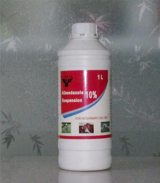 Veterinary Pharmaceutical Companies Albendazole 10% Suspension for Horse Wormer