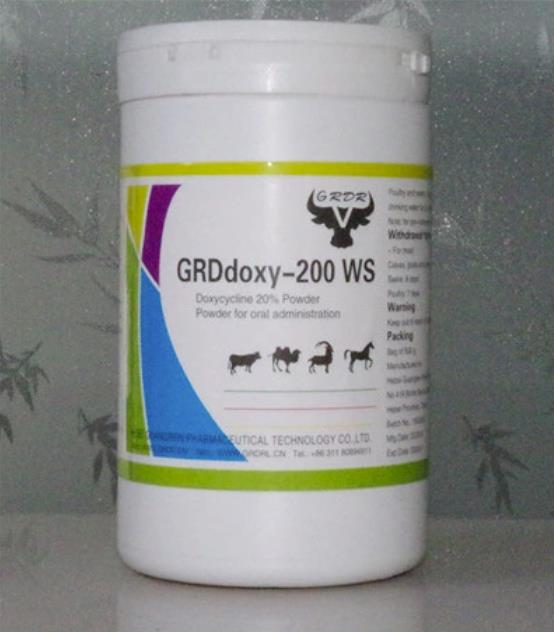 Poultry Antibiotic Drugs 10% 50% Doxycycline HCl Powder