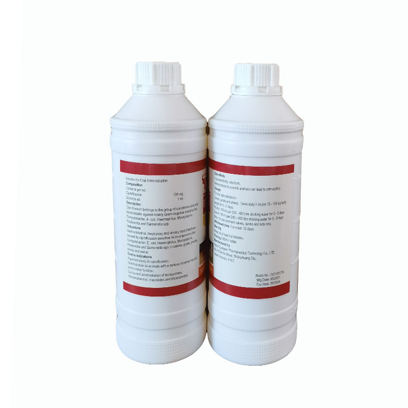 Antibiotic Medicines Ciprofloxacin 10% Oral Solution for Poultry use