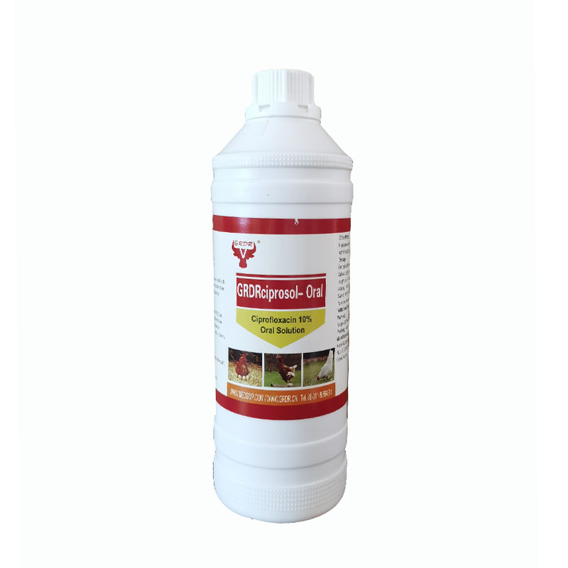 antibiotic drugs Ciprofloxacin 10% oral solution for poultry use