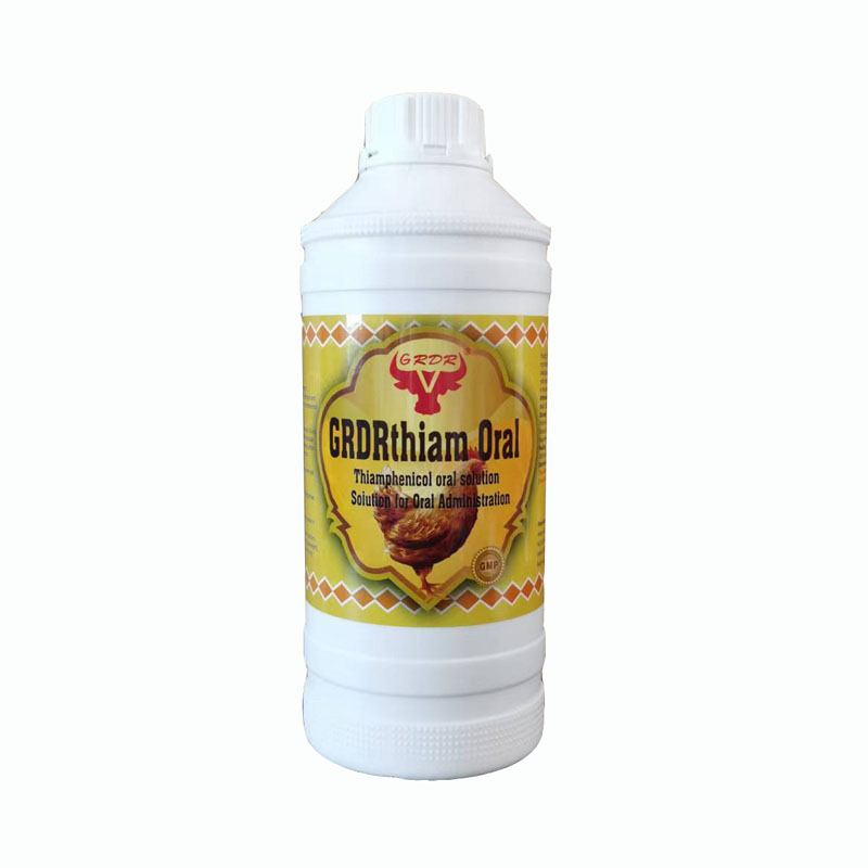 Poultry farm use thiamphenicol oral solution cure respiratory infections