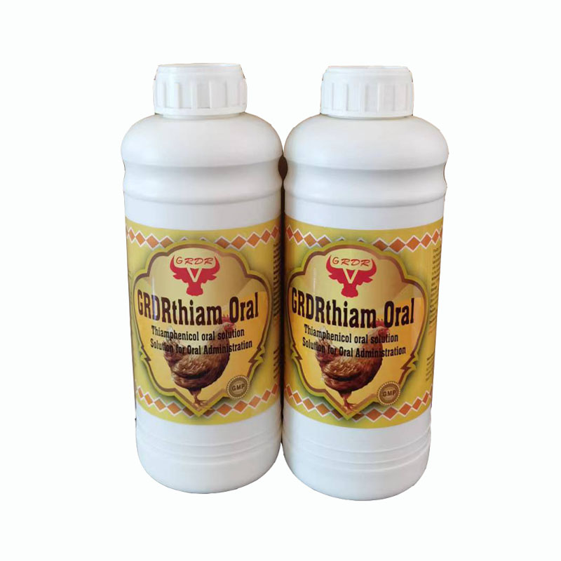 Poultry farm use thiamphenicol oral solution cure respiratory infections